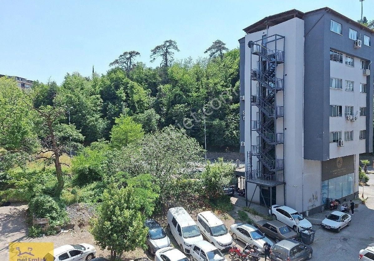 Kdzeregli Net Emlak Tan Şehir Merkezinde Çok Büyük Daire İsteyenlere - Görsel 11