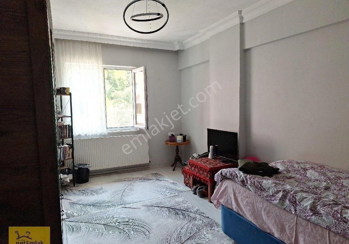 Kdzeregli Net Emlak Tan Şehir Merkezinde Çok Büyük Daire İsteyenlere - Görsel 8