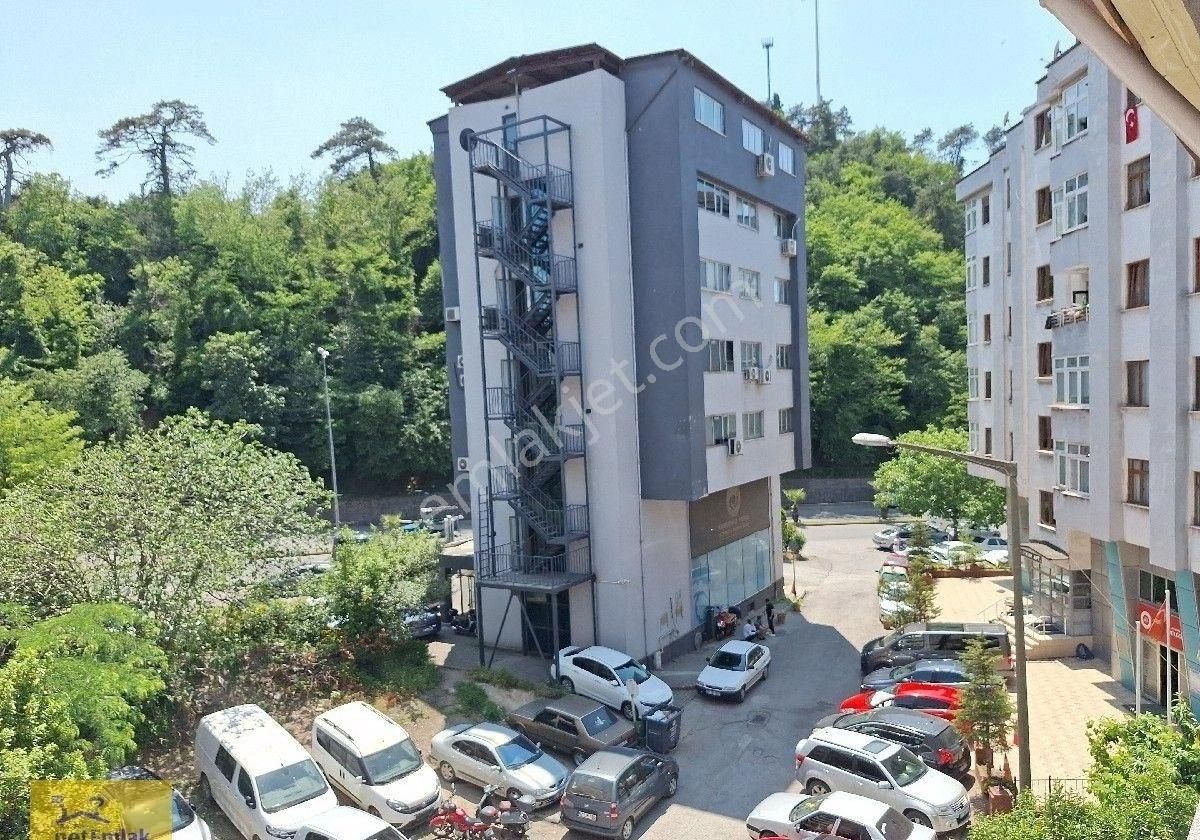 Kdzeregli Net Emlak Tan Şehir Merkezinde Çok Büyük Daire İsteyenlere - Görsel 18