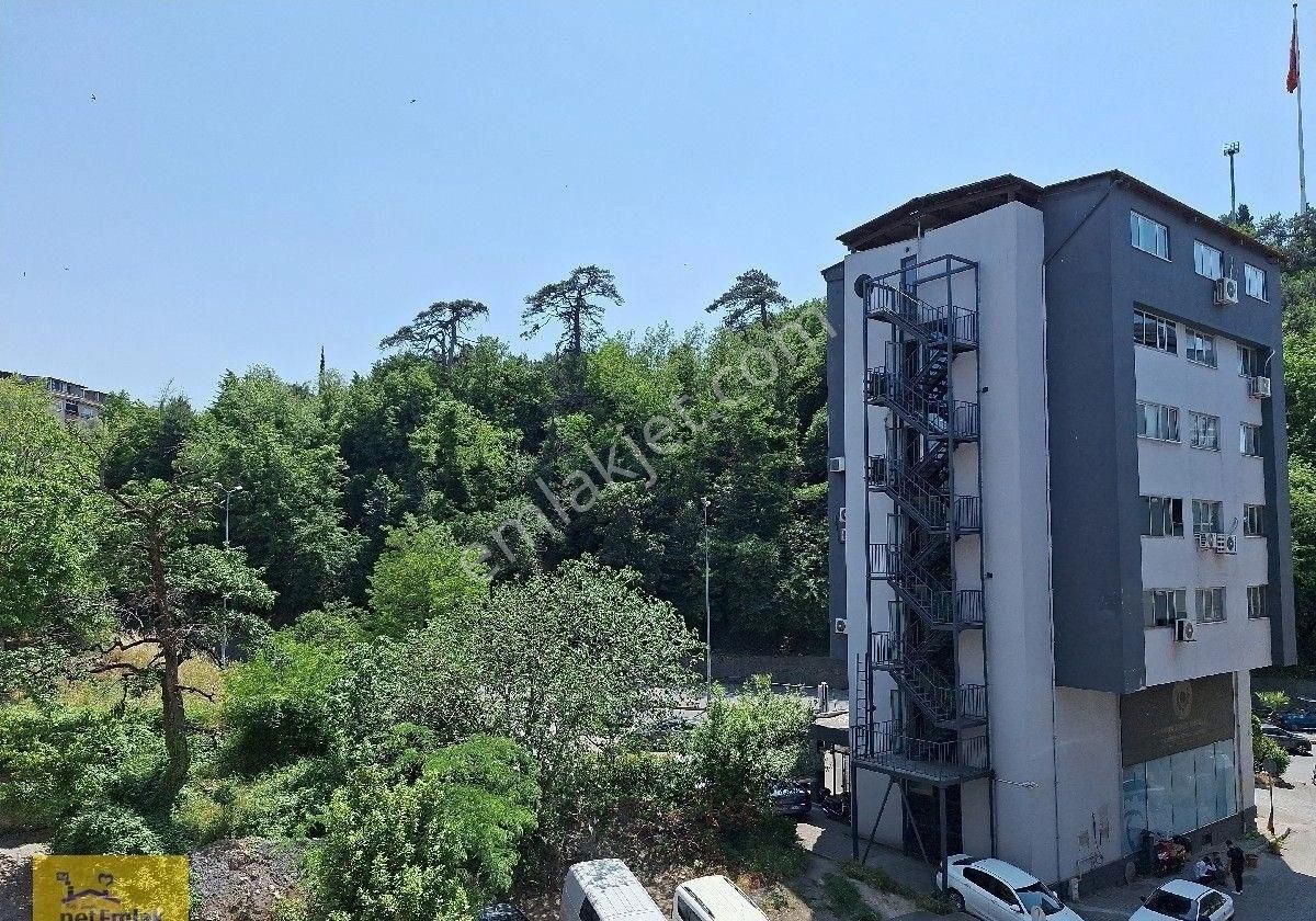 Kdzeregli Net Emlak Tan Şehir Merkezinde Çok Büyük Daire İsteyenlere - Görsel 19