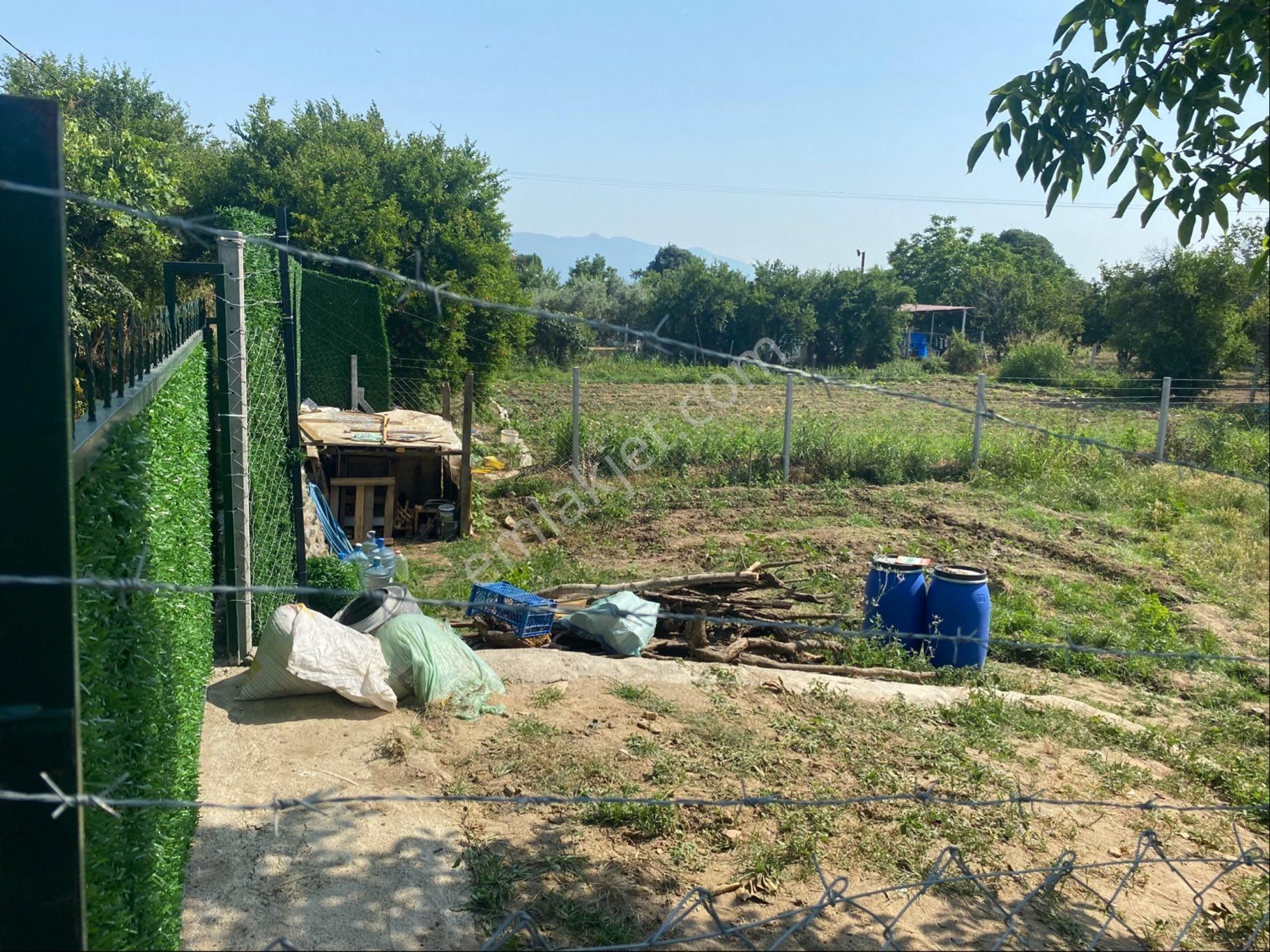 Bayındır Zeytinova Mh Yatırımlık Bahçe - Görsel 5