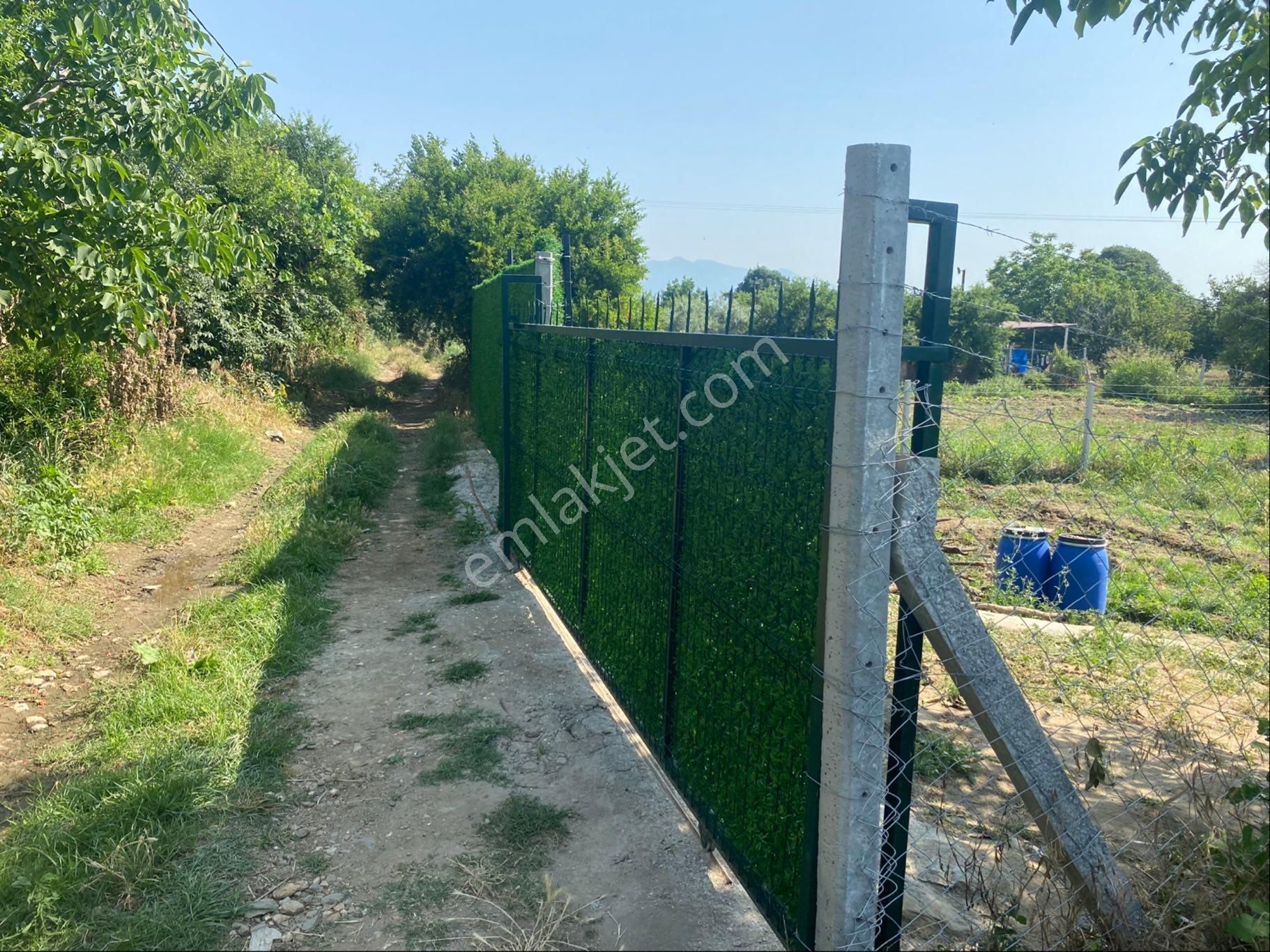 Bayındır Zeytinova Mh Yatırımlık Bahçe - Görsel 4