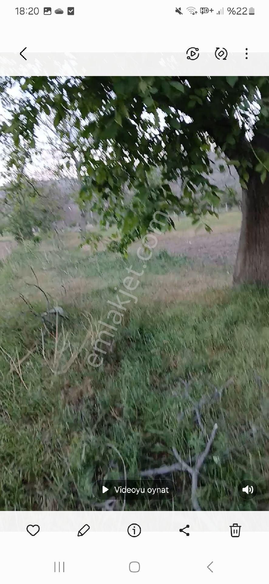 Güneyaşağı İklimya Arkasında Hobi Bahçesi. - Görsel 4