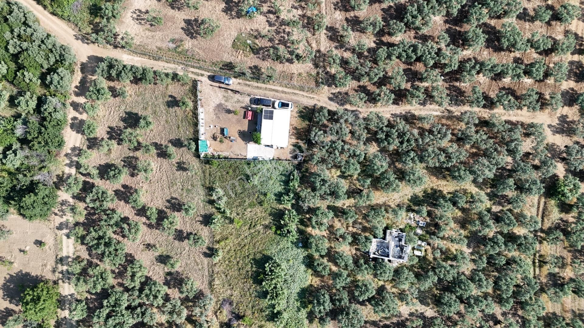 Kumla Konak Emlak'tan Satılık Huzur Dolu Bahçeli Ev - Görsel 24