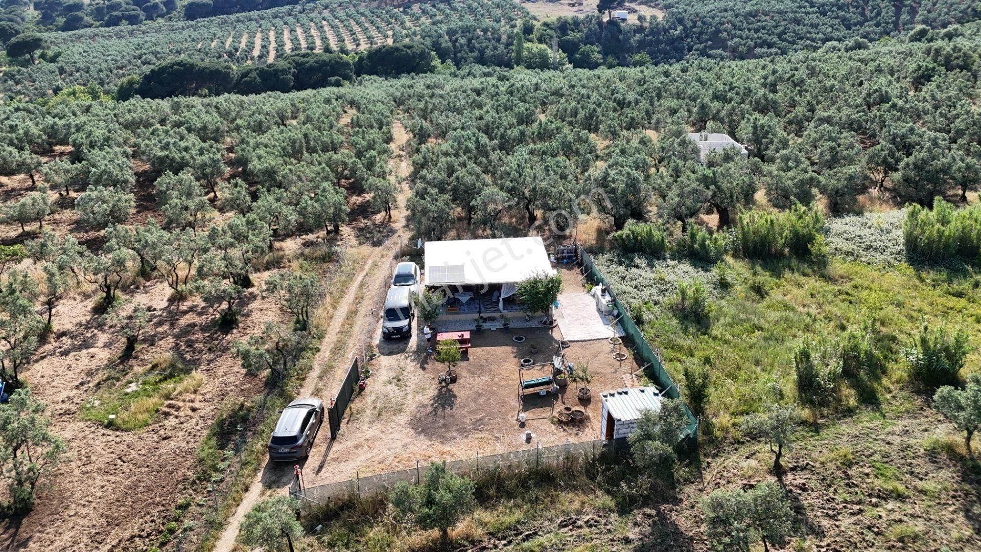 Kumla Konak Emlak'tan Satılık Huzur Dolu Bahçeli Ev