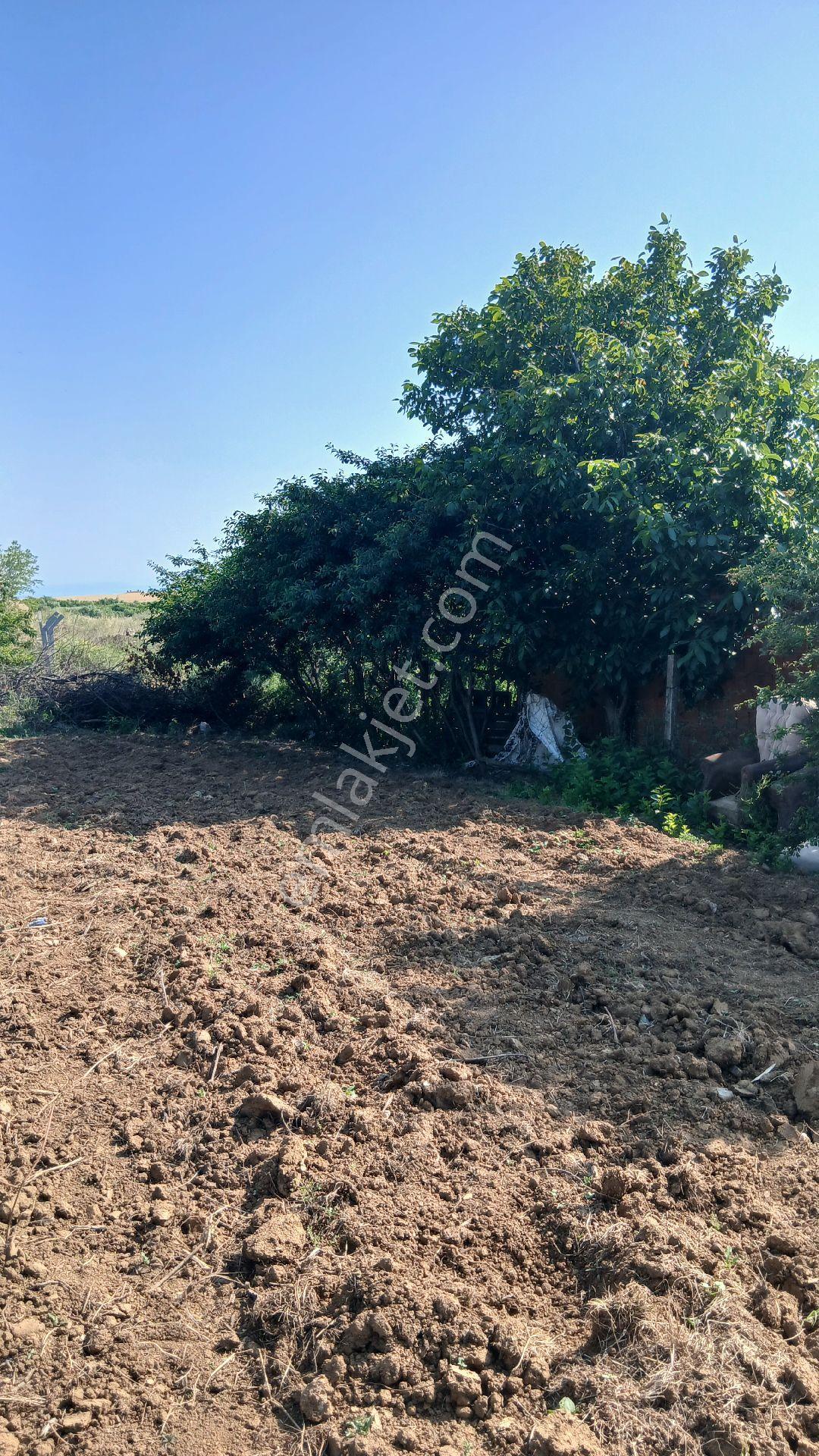 Kayacık Dutliman Arasında Satılık Arsa - Görsel 34