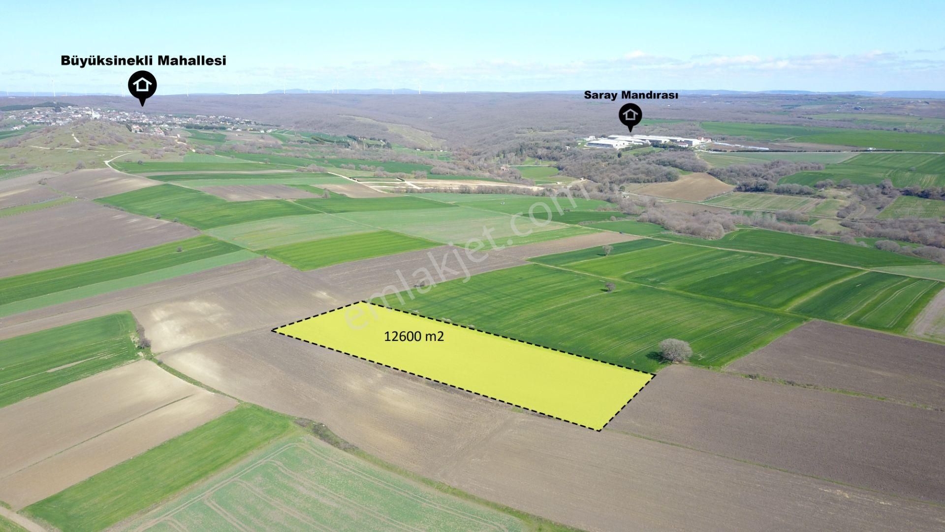 Ege Gayrimenkulden Silivri Büyüksineklide 12600 M2 Tarla