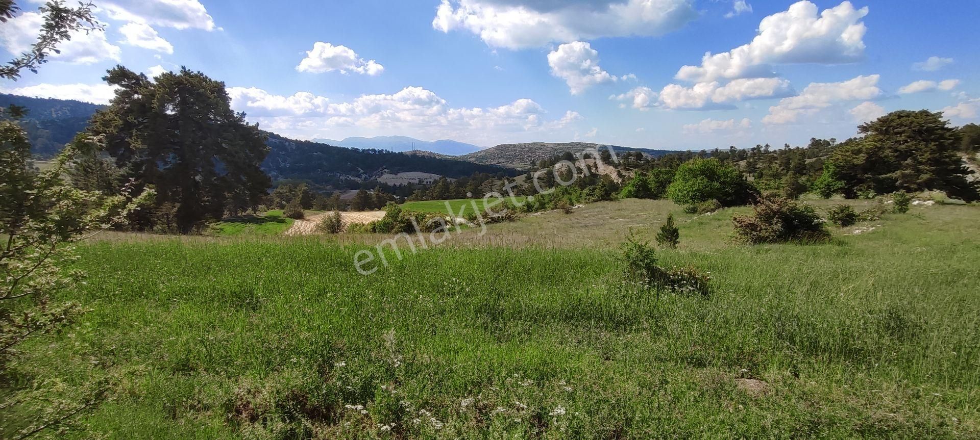 Çameli Cumaalanında Harika Manzara Ve Konumda 6893 M2 Tqrlq