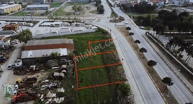 Şahlan Emlaktan Yeni Otogar Sırasında Bitişik Nizam İmarlı Arsa