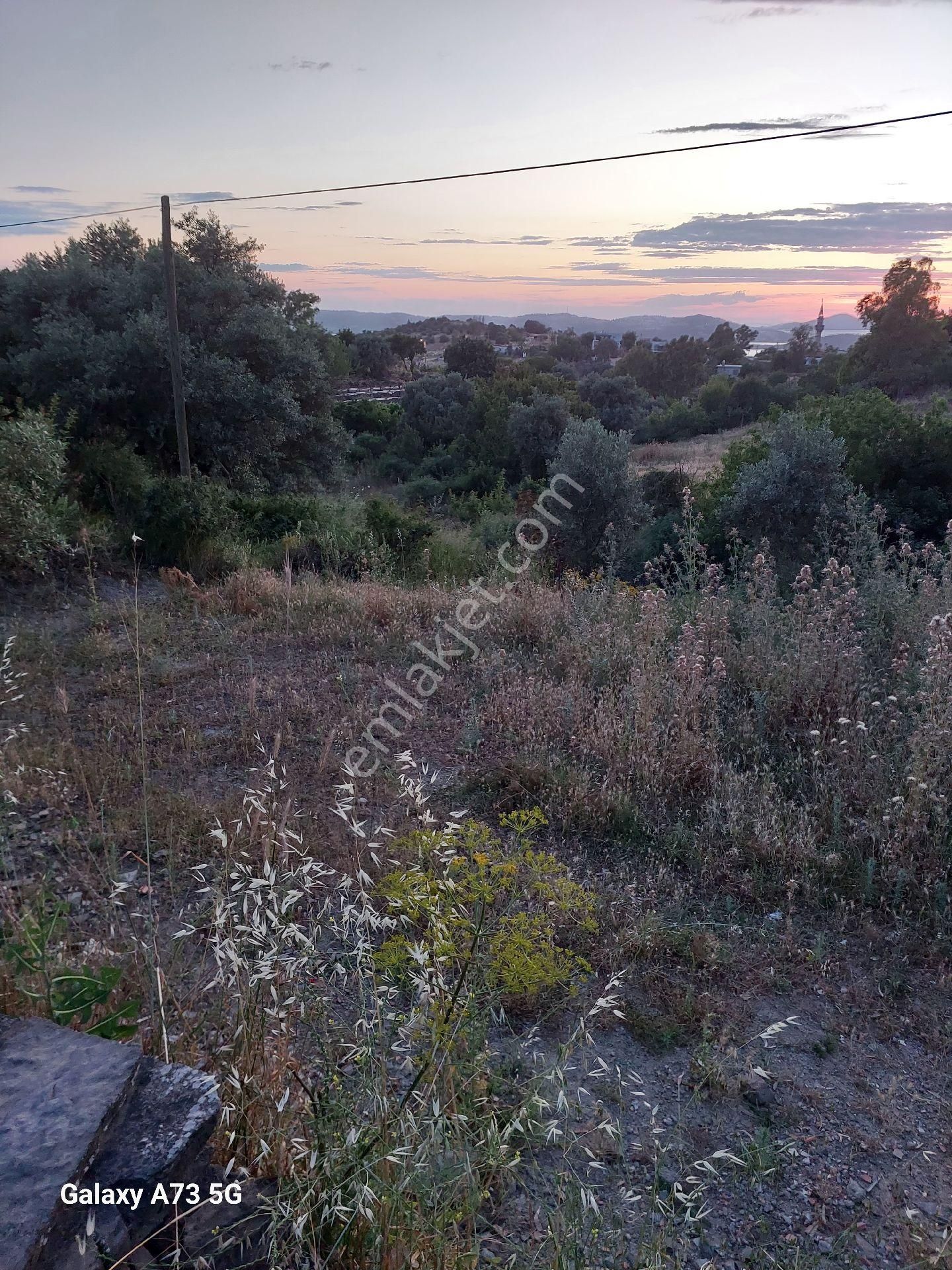 Bodrum Gökpınar Mahallesinde Satılık