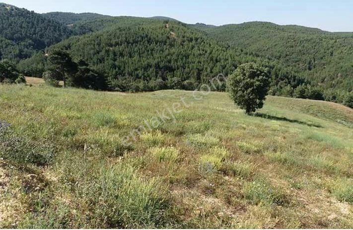 Uşak Merkez Gökçedal'da Yatırımlık Arazi
