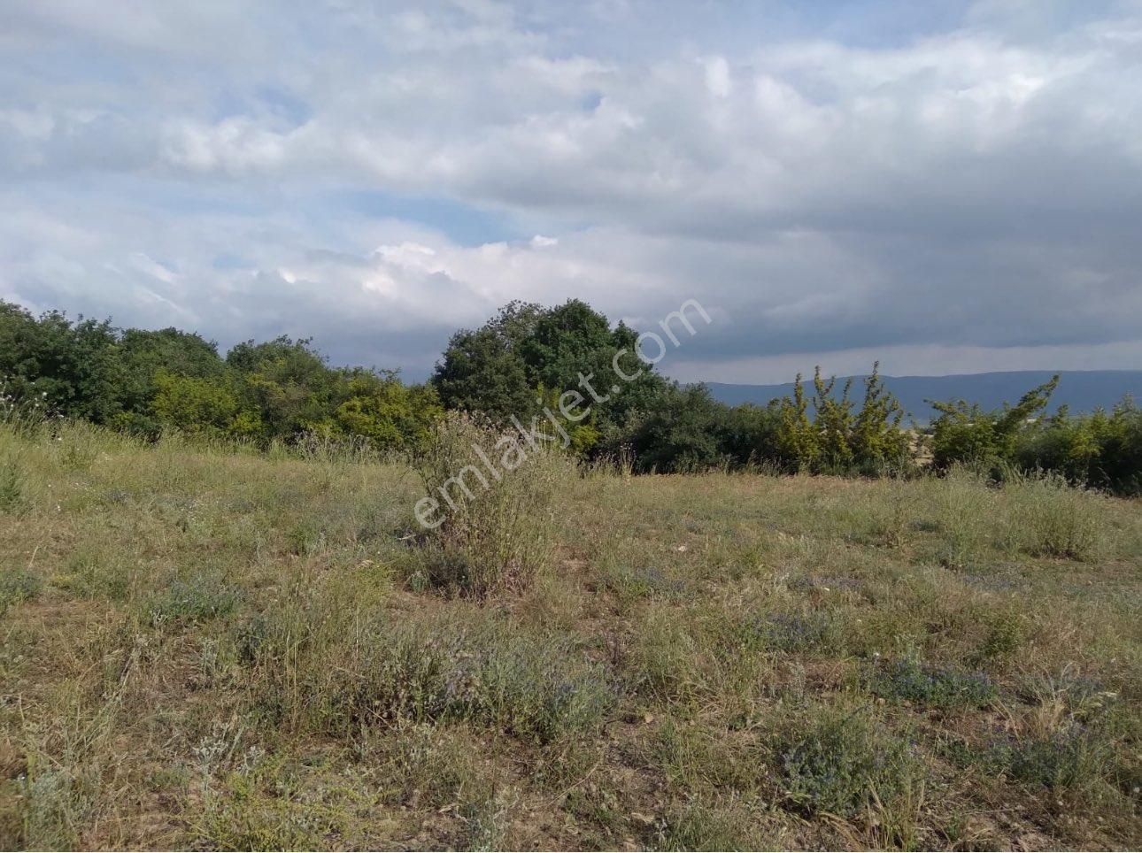 Bursa Karacabey İkizce Mahallesi Satılık Manzaralı Tarla
