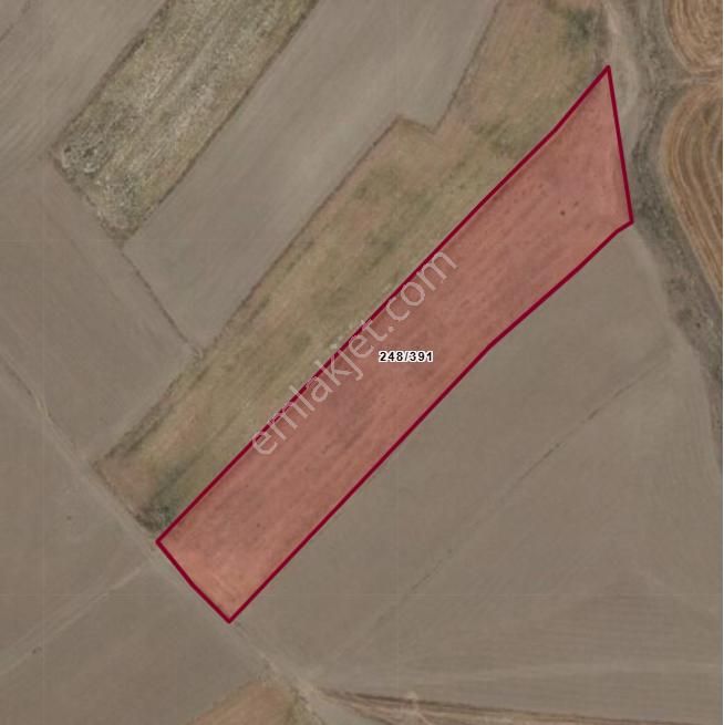 Ayaş Gökler Mahallesi 1500 M2 Bahçe Yeri