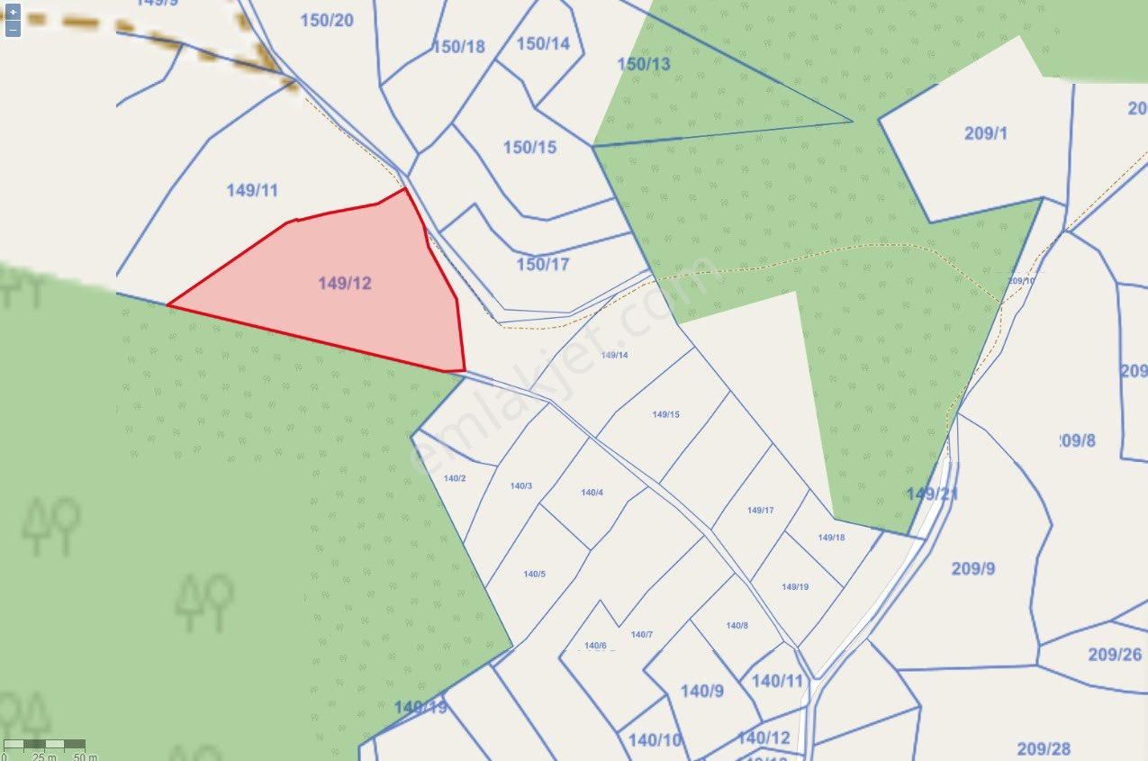 Ayr Gayrimenkul’den Samsun Kavak – Yer Alan Mahallesi’nde 11 Dönüm (11.000 M²) Satılık Tarla ️