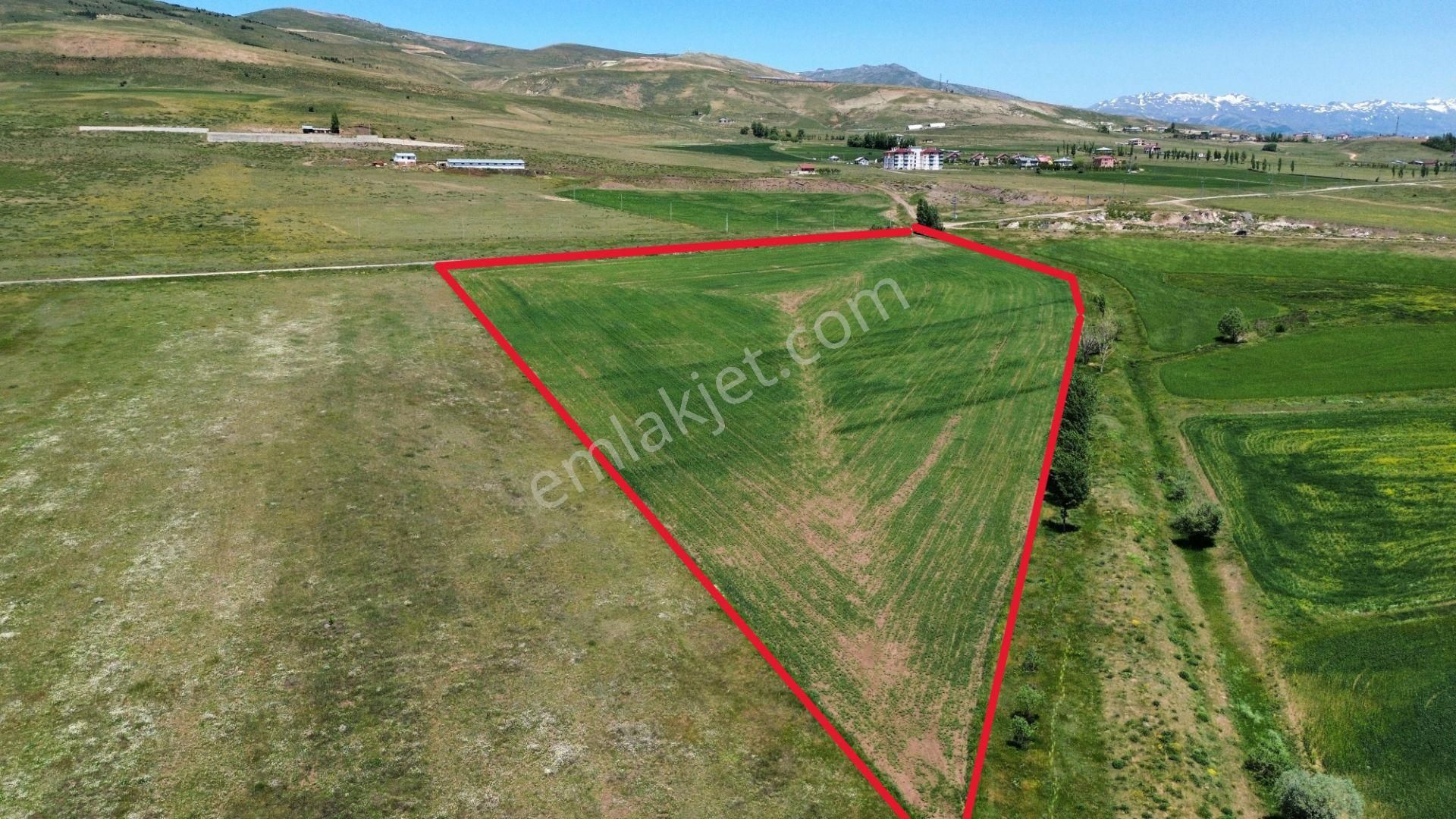 Hızır Gündoğdu'dan Aydıntepe'de 39.000m2 Satılık Tarla
