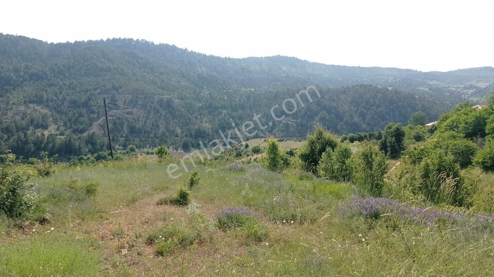 Müstakil Arsa