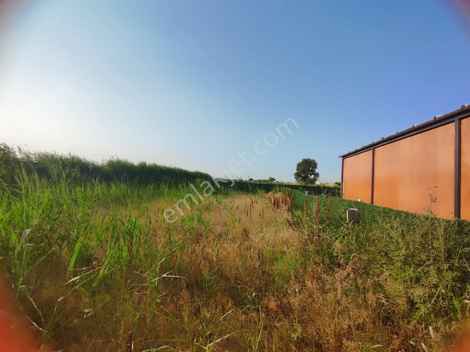 Satılık Bahçe 300 M2 Manisa Şehzadeler Yeniharmandalı