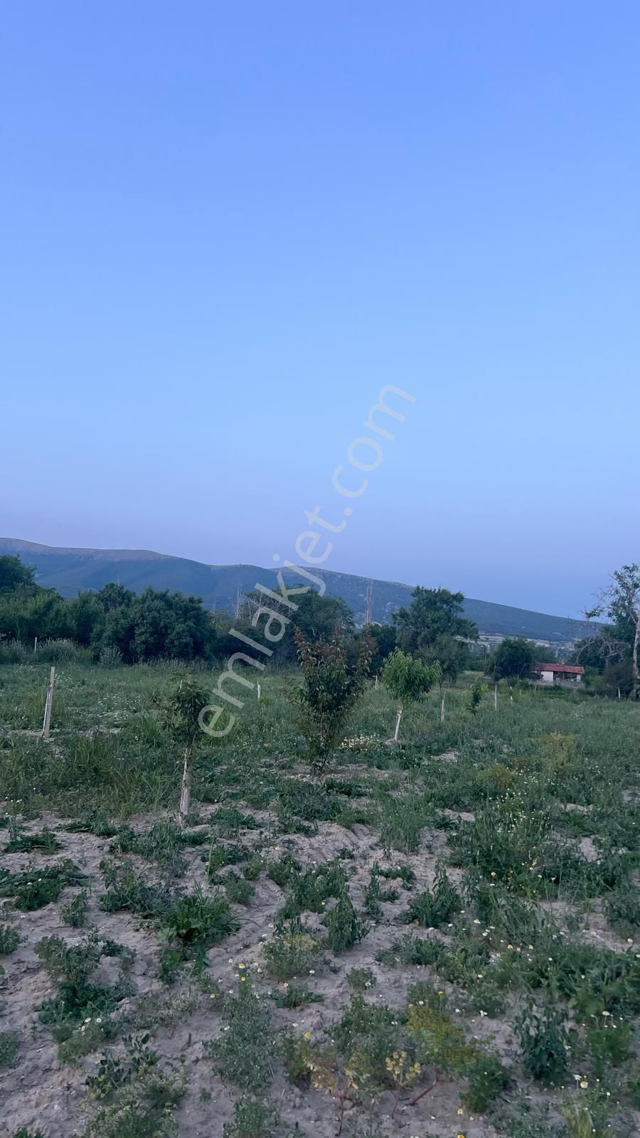 Isparta Gönen' De Satılık 1+1 Ev Hobi Bahçe