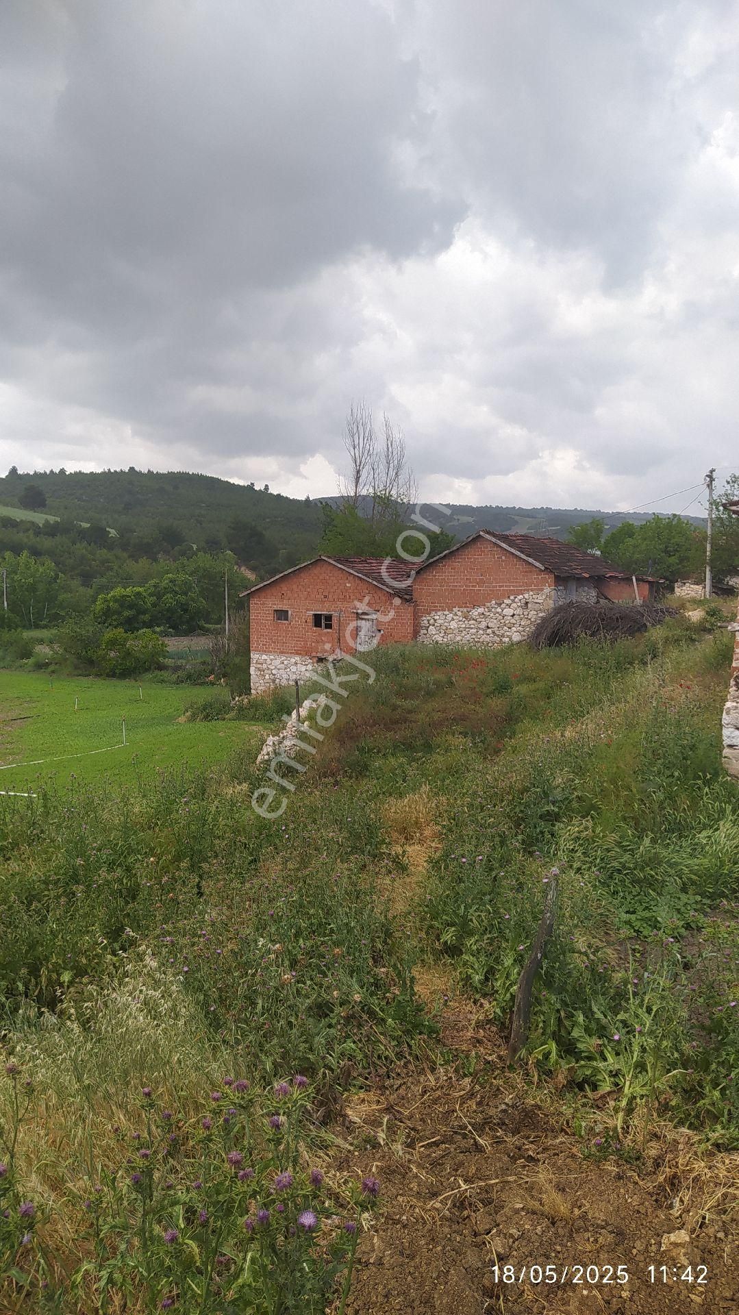 Komple Çiftlik - Görsel 7