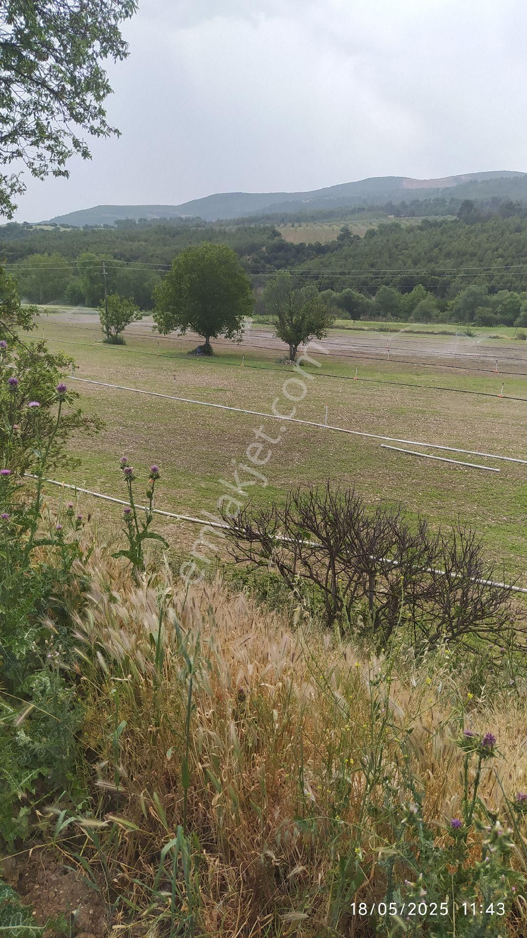 Komple Çiftlik - Görsel 6