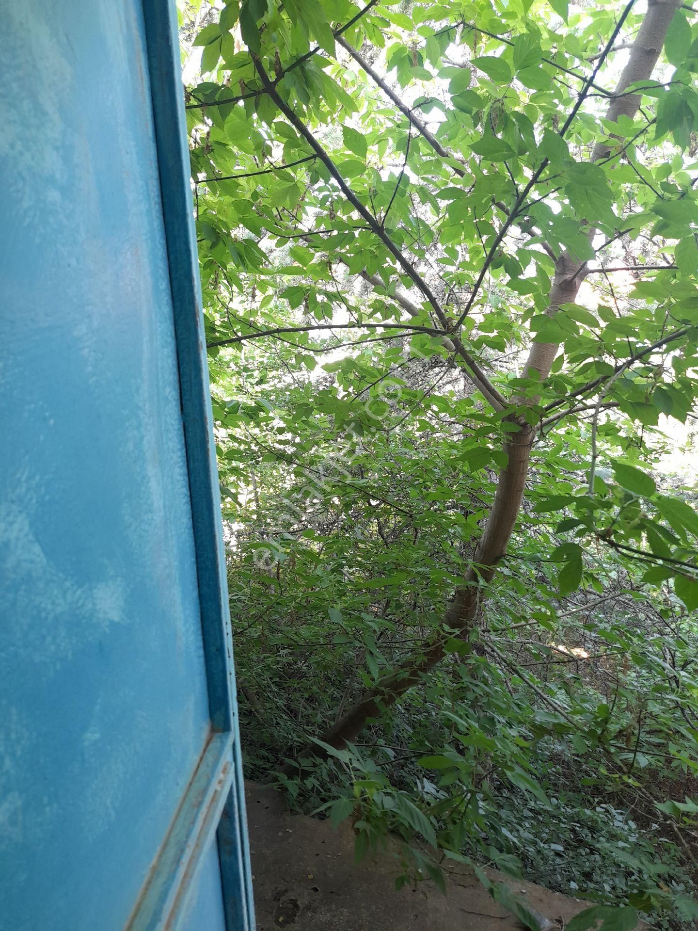 Konya Beyşehir Gül Emlaktan İhüyük İmrenler Mah Satlık 2 Katlı Taş Bina Ve Bahçesi - Görsel 22