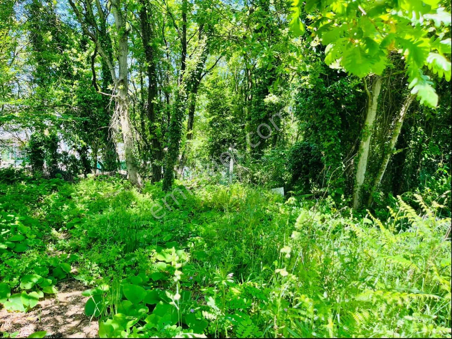 930 Metre Villa İmarlı Arsa - Görsel 18