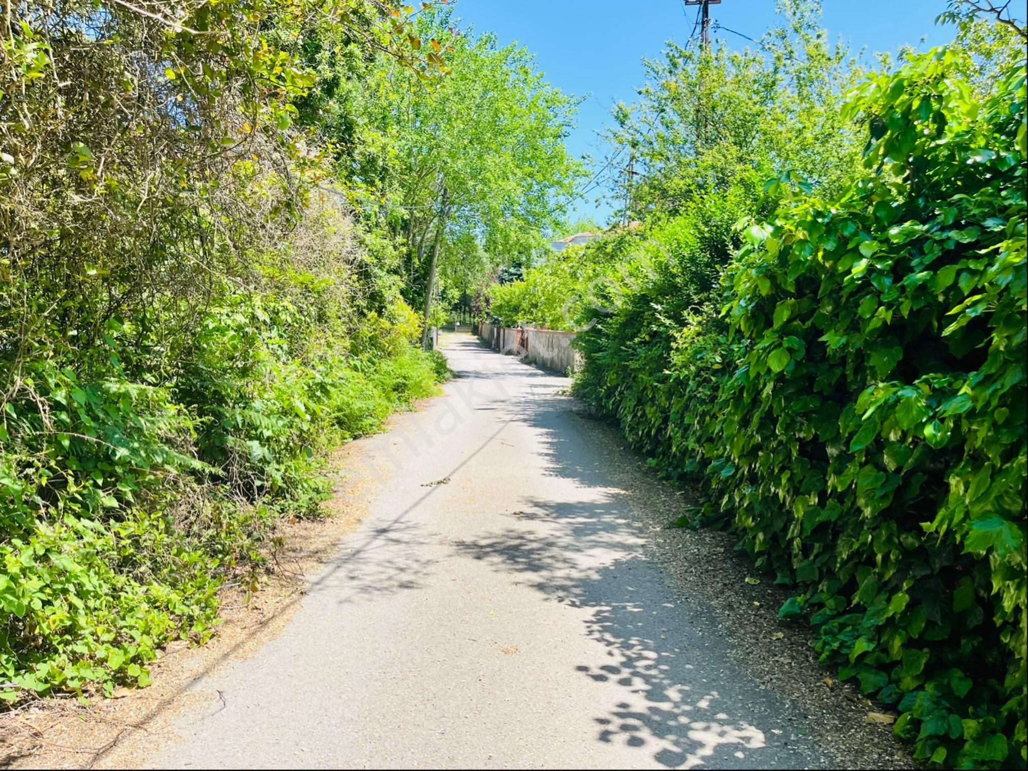 930 Metre Villa İmarlı Arsa - Görsel 4