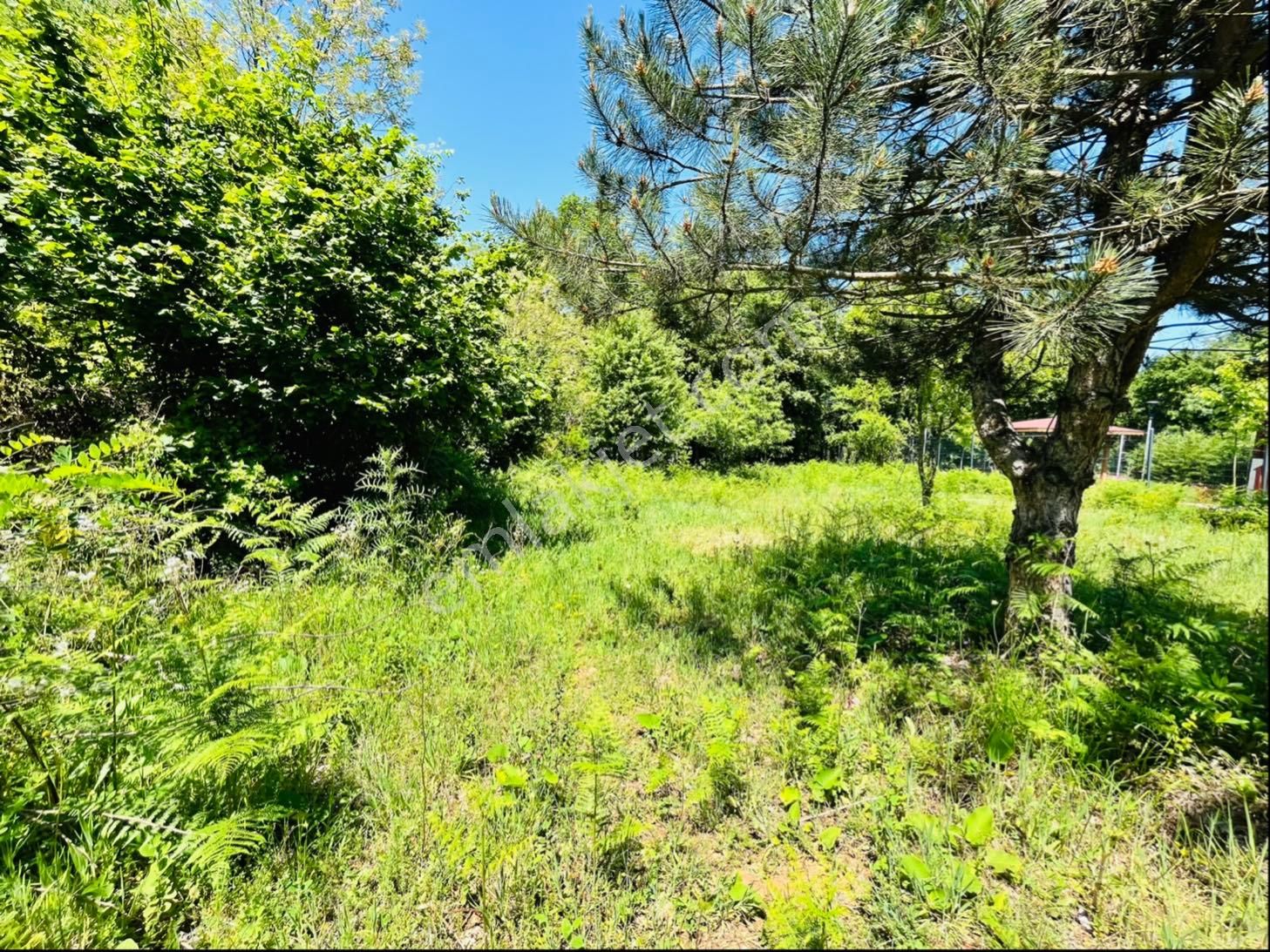 930 Metre Villa İmarlı Arsa - Görsel 24