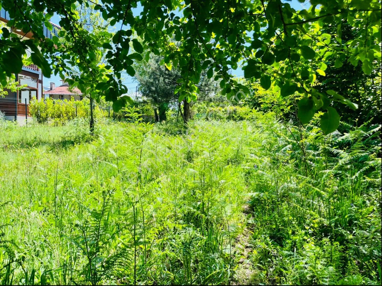 930 Metre Villa İmarlı Arsa - Görsel 22