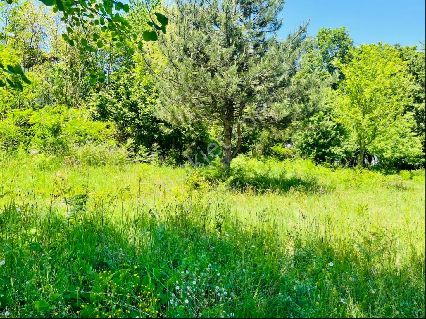 930 Metre Villa İmarlı Arsa - Görsel 10