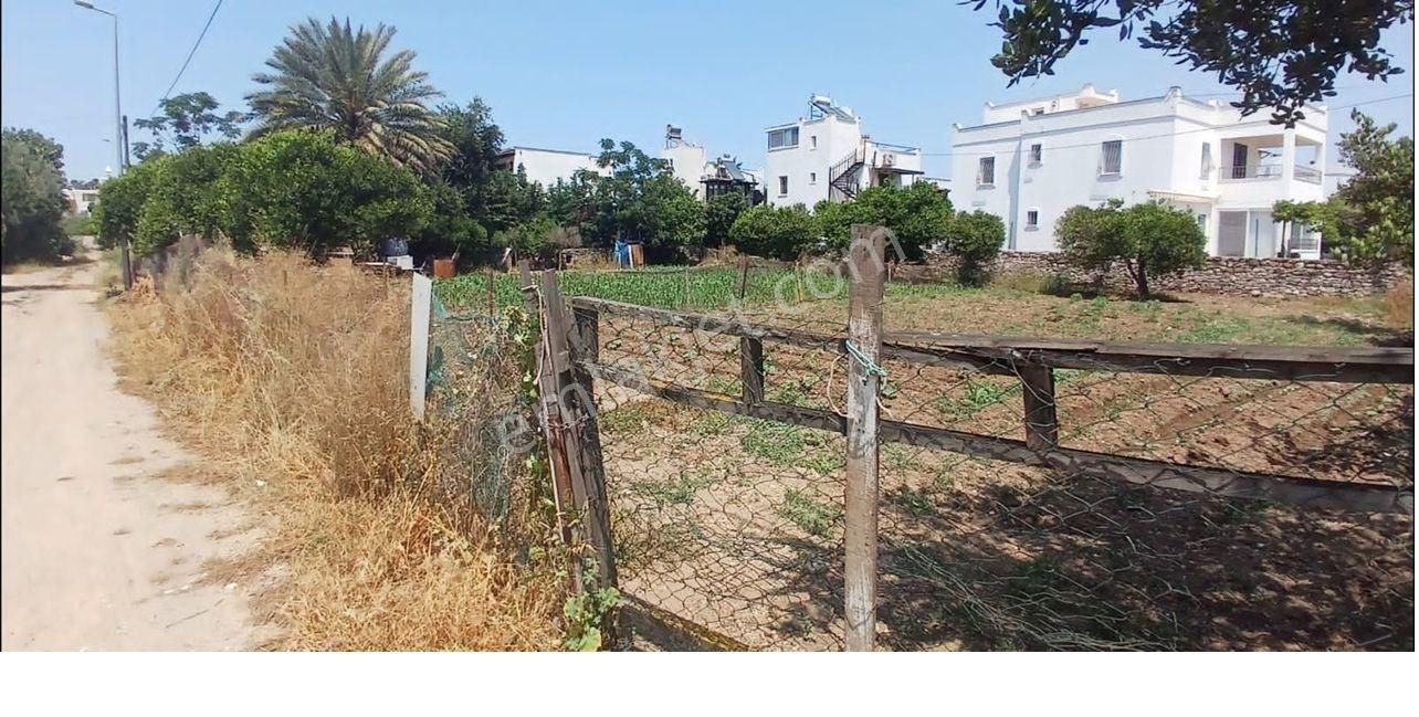 Bodrum Yalıkavak' Da Geleceğin Kazançlı Yatırımı 1109 M2 Arsa