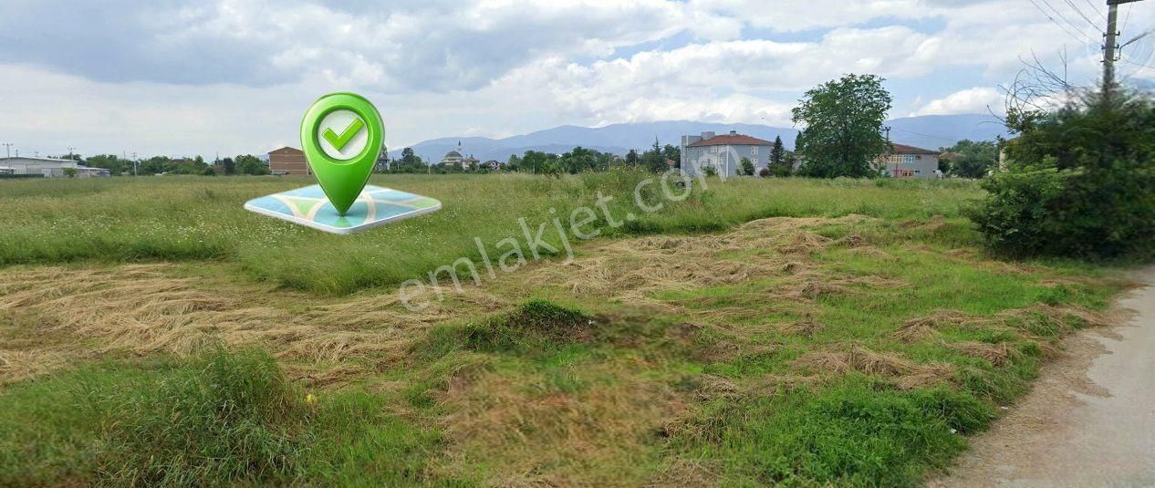 Düzce Akçakoca Ana Yoluna Yakın Çamköy'de Satılık 3 Kat İmarlı Konut Arsası