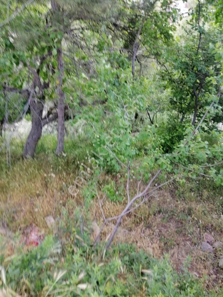 Tatköyde 241 M2 Suyu Olan Satılık Bahçe