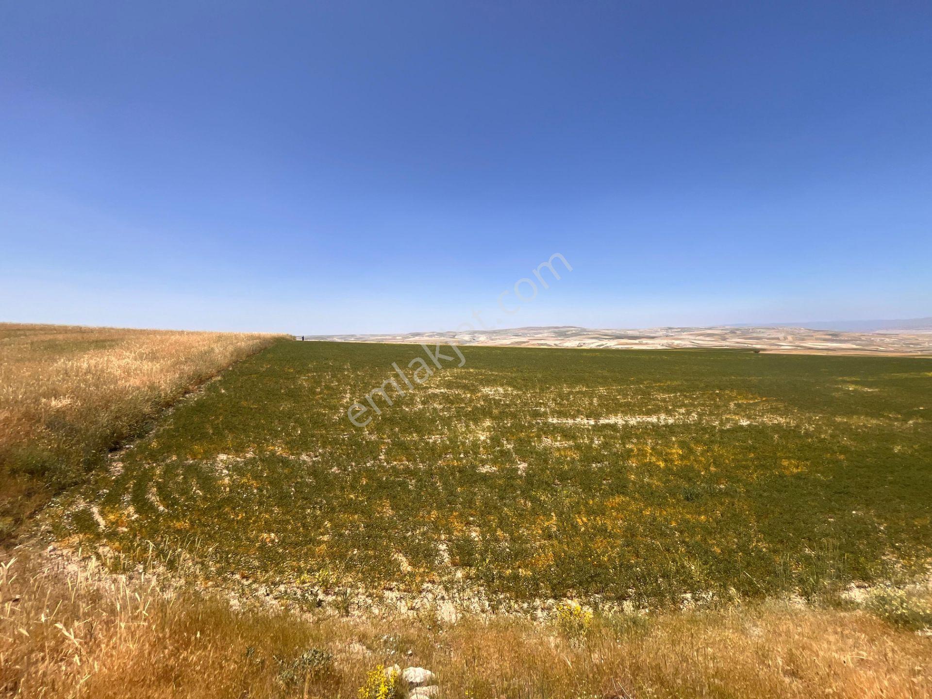 Ayaşın En Güzel Köyünde 37.191 M2 Harika Konumda Altyapılara Yakın Yatırımlık Satılık Tarla - Görsel 22