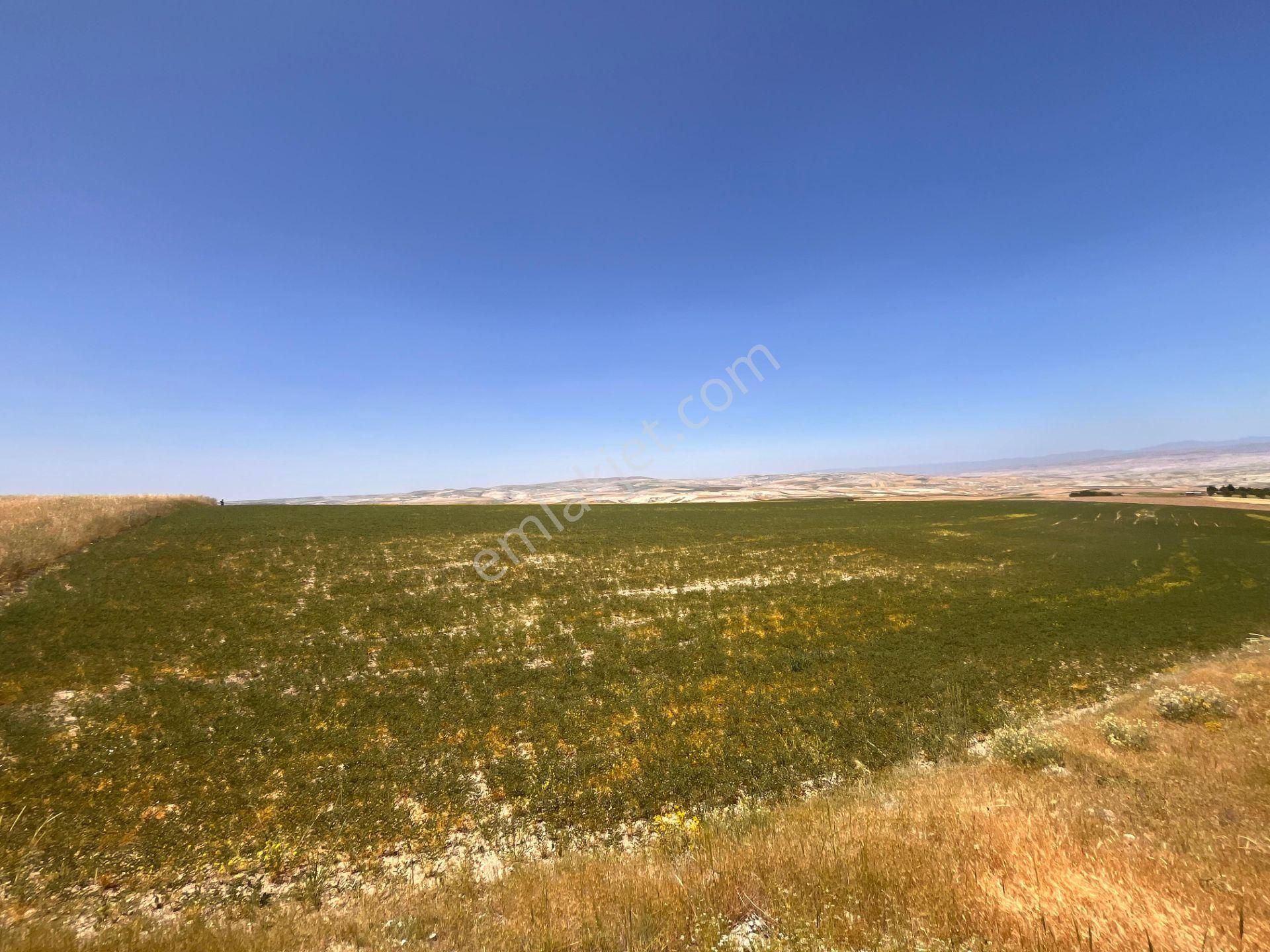 Ayaşın En Güzel Köyünde 37.191 M2 Harika Konumda Altyapılara Yakın Yatırımlık Satılık Tarla