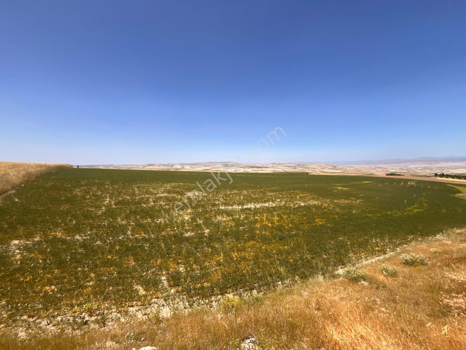 Ayaşın En Güzel Köyünde 37.191 M2 Harika Konumda Altyapılara Yakın Yatırımlık Satılık Tarla - Görsel 21
