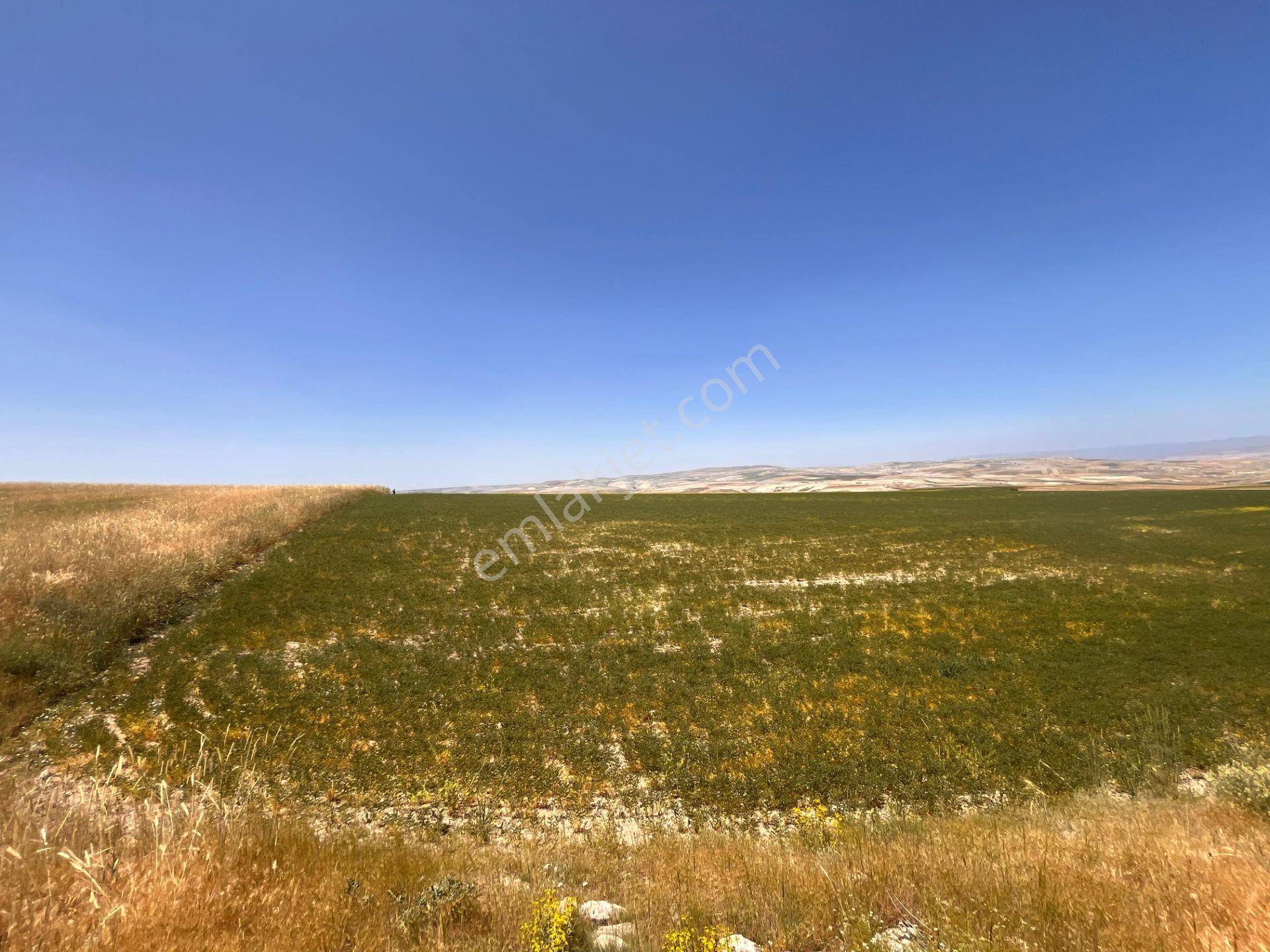Ayaşın En Güzel Köyünde 37.191 M2 Harika Konumda Altyapılara Yakın Yatırımlık Satılık Tarla - Görsel 31