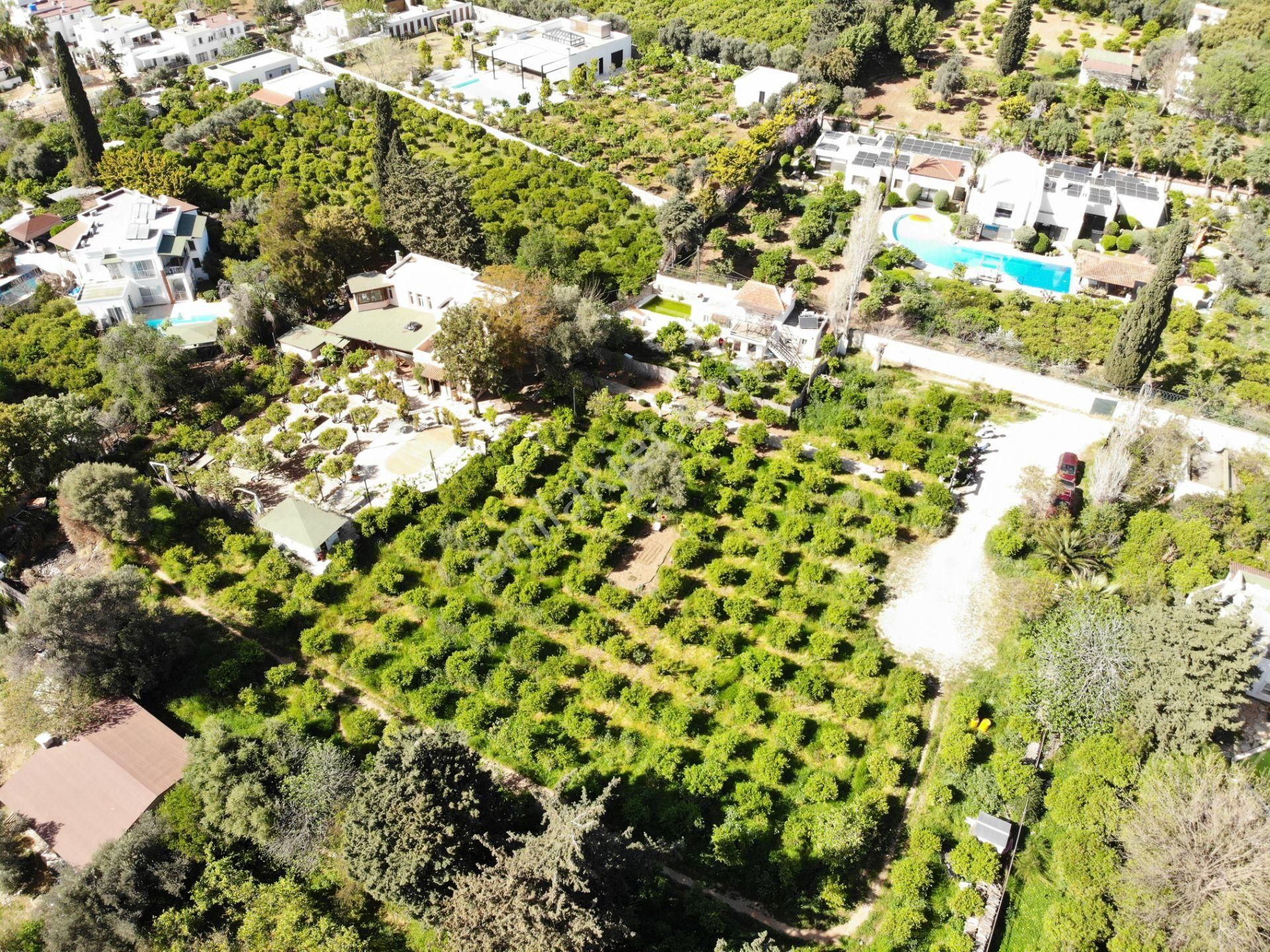 Bodrum Bitez’de 5398 M2 İçinde Kayıtlı Ev Ve Kuyusu Olan Bahçe - Görsel 4