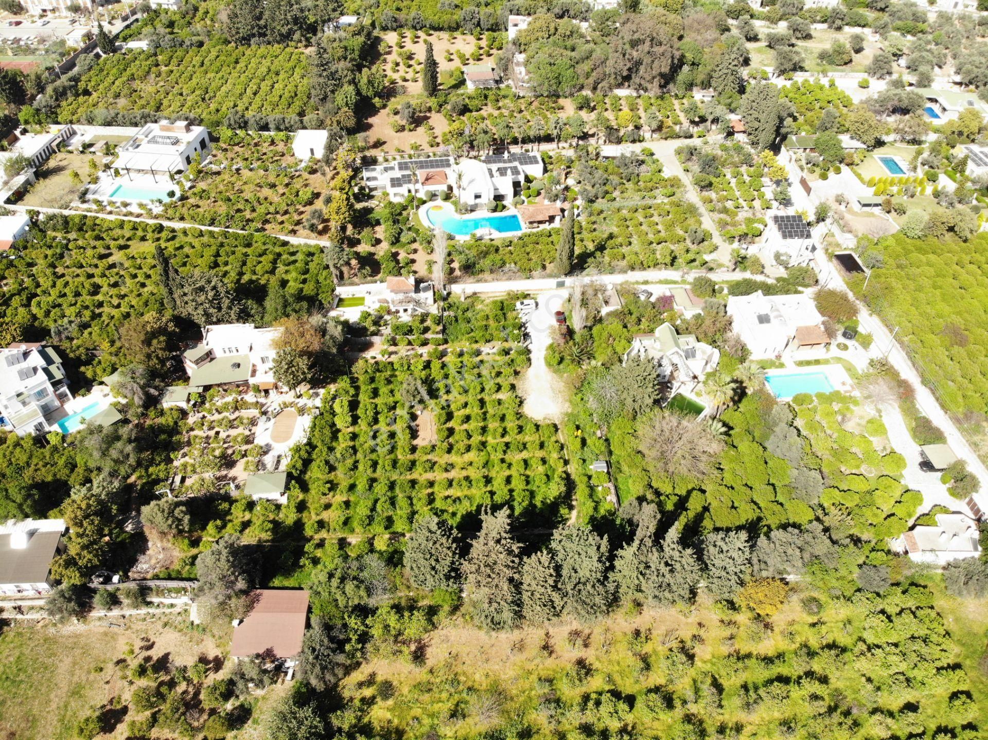 Bodrum Bitez’de 5398 M2 İçinde Kayıtlı Ev Ve Kuyusu Olan Bahçe - Görsel 2