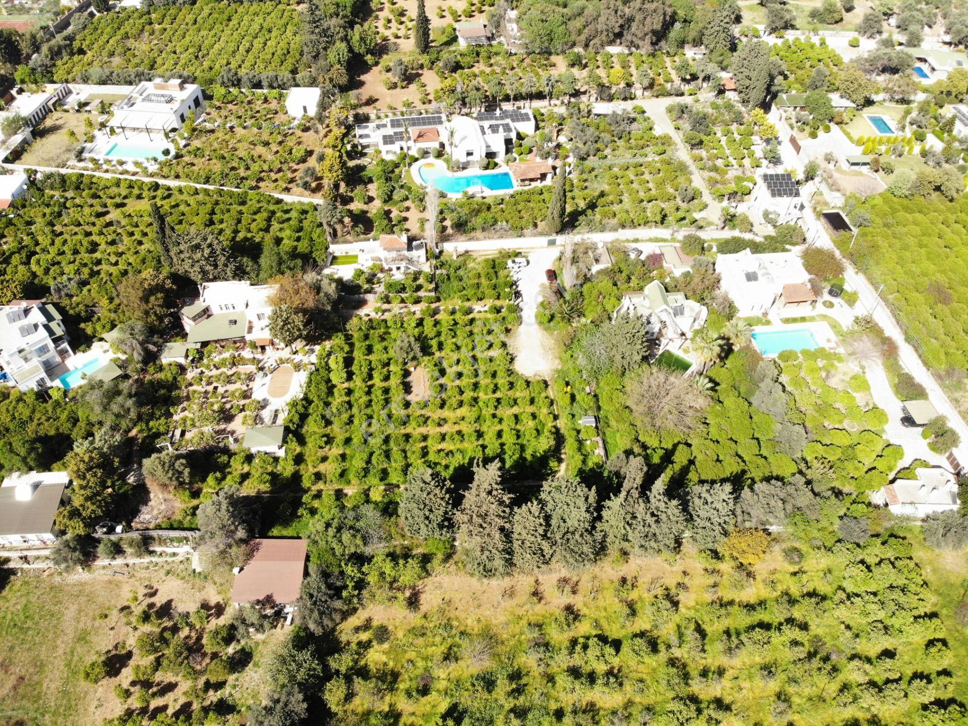 Bodrum Bitez’de 5398 M2 İçinde Kayıtlı Ev Ve Kuyusu Olan Bahçe - Görsel 3