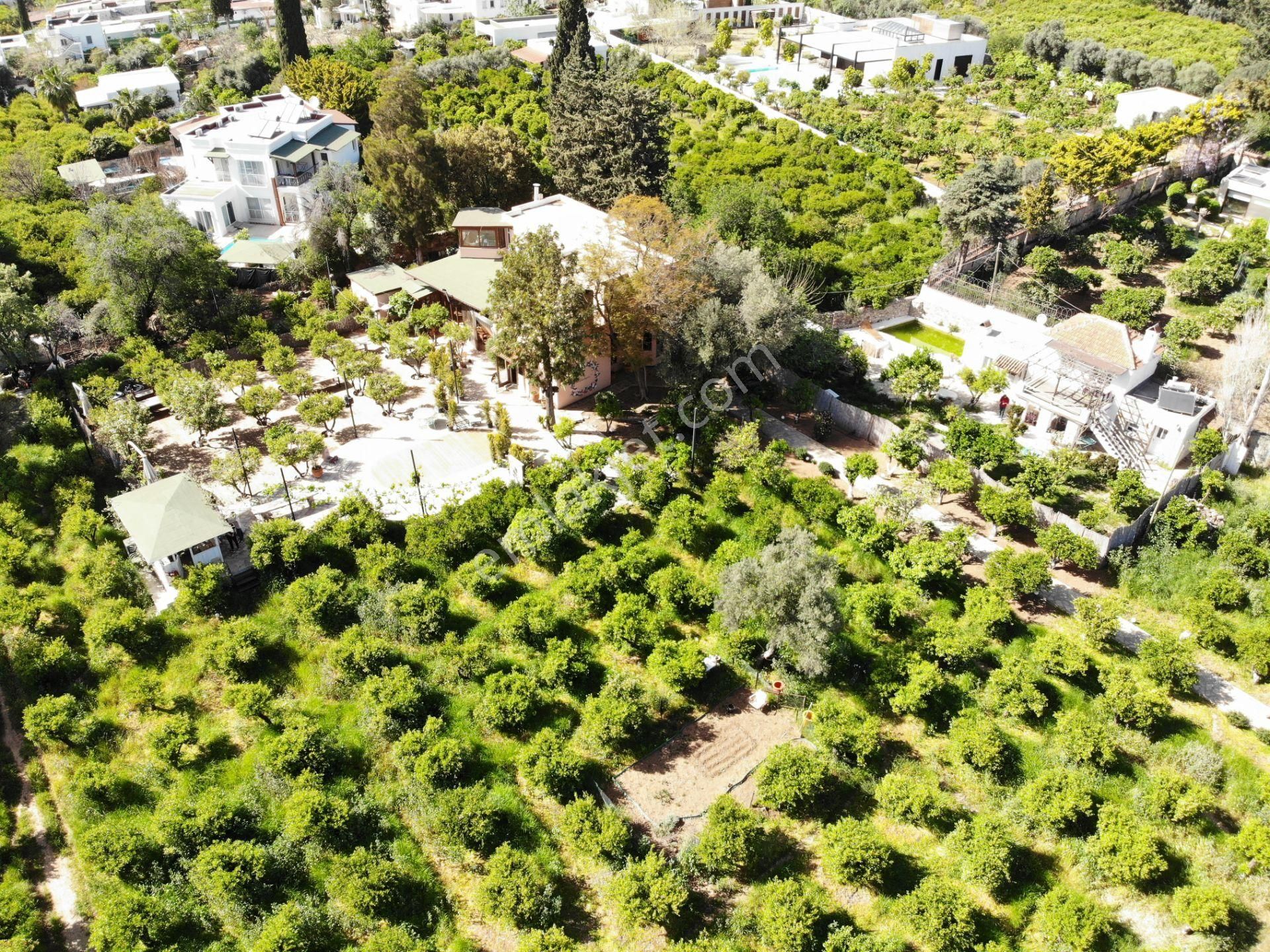 Bodrum Bitez’de 5398 M2 İçinde Kayıtlı Ev Ve Kuyusu Olan Bahçe - Görsel 5