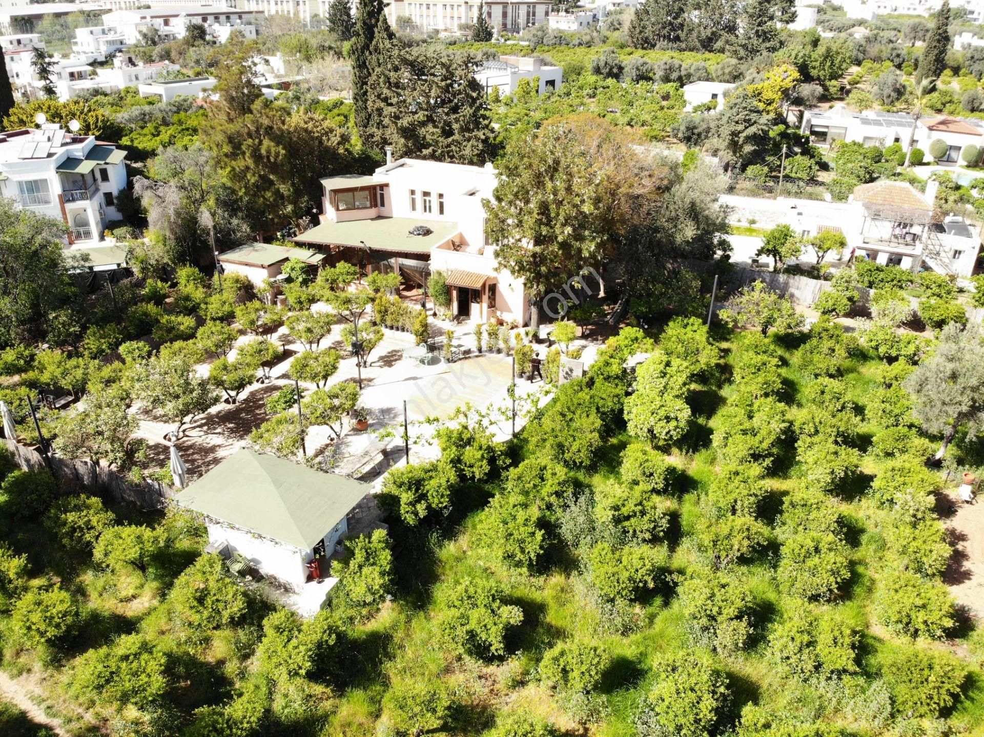 Bodrum Bitez’de 5398 M2 İçinde Kayıtlı Ev Ve Kuyusu Olan Bahçe - Görsel 7