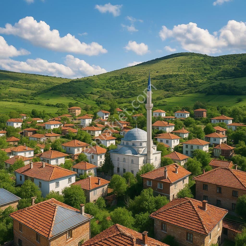 Kütahya Tavşanlı Köseler Köyü Uygun Arazi