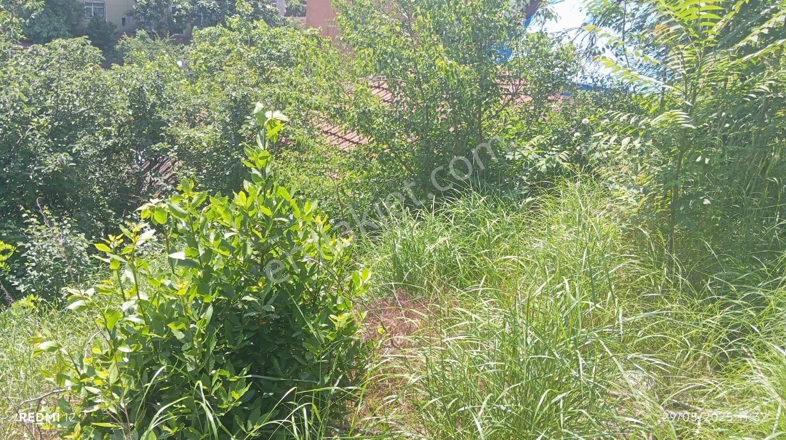 Beykoz Rüzgarlıbahcede Medipol 380 M2 2/b Tapulu Satılık Arsa