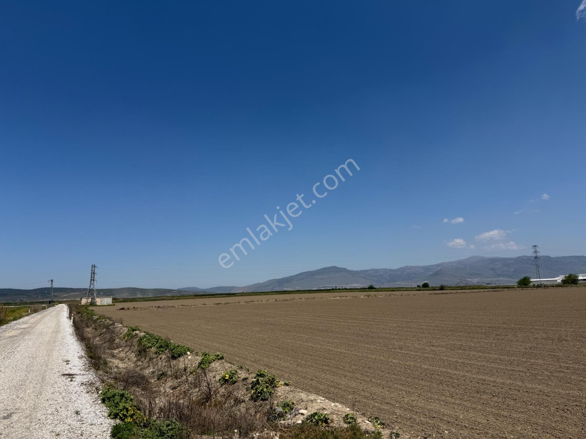 İzmir Serbest Bölge’ye (izbaş) 5 Dk Mesafede 39.033 M2 Tarla
