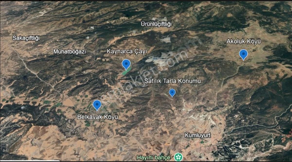 Kütahya Akoluk Köyü'nde 13.113 M² Satılık Arazi – Tam Tapu, Komisyonsuz, Yatırıma Uygun