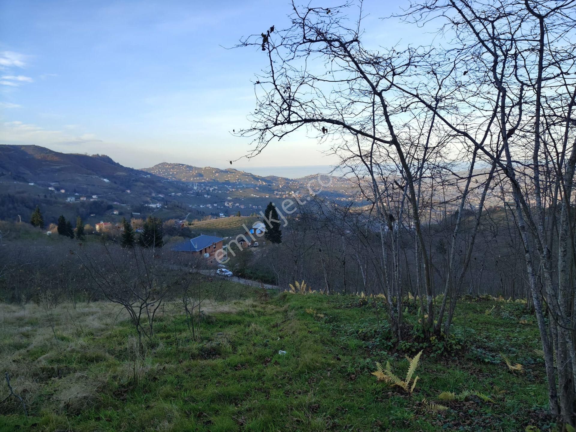 Trabzon Mağmat Kamışlı Satılık 9365 M2 Arsa - Görsel 22