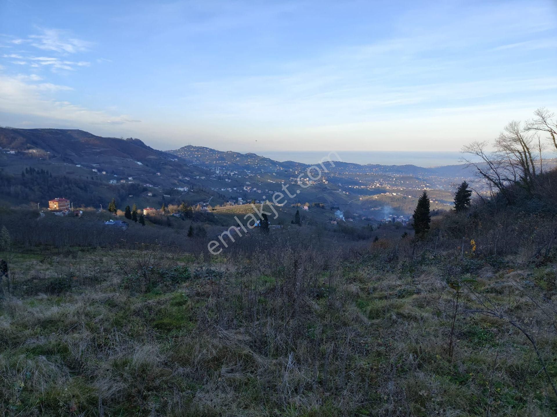 Trabzon Mağmat Kamışlı Satılık 9365 M2 Arsa - Görsel 20