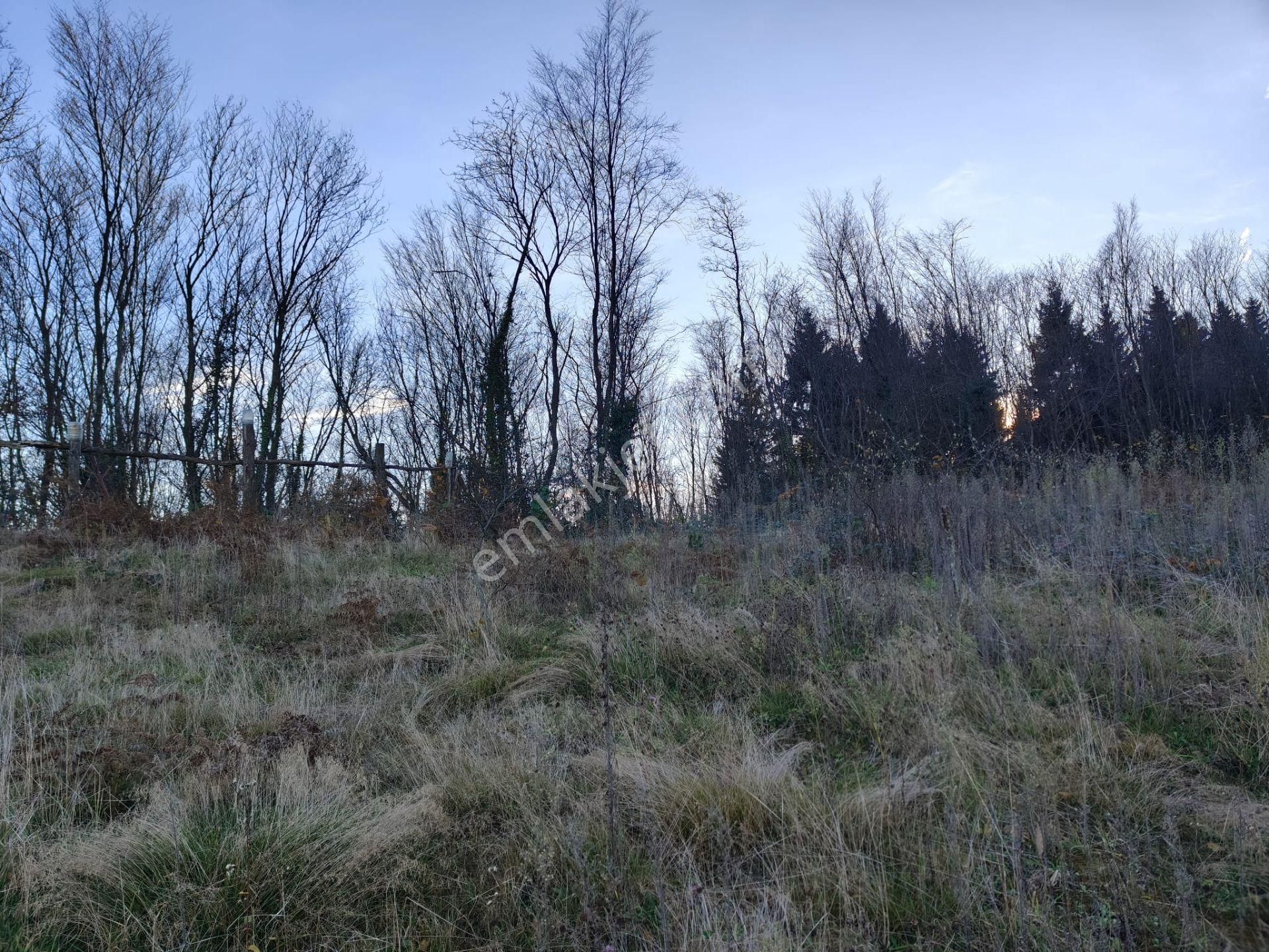 Trabzon Mağmat Kamışlı Satılık 9365 M2 Arsa - Görsel 12