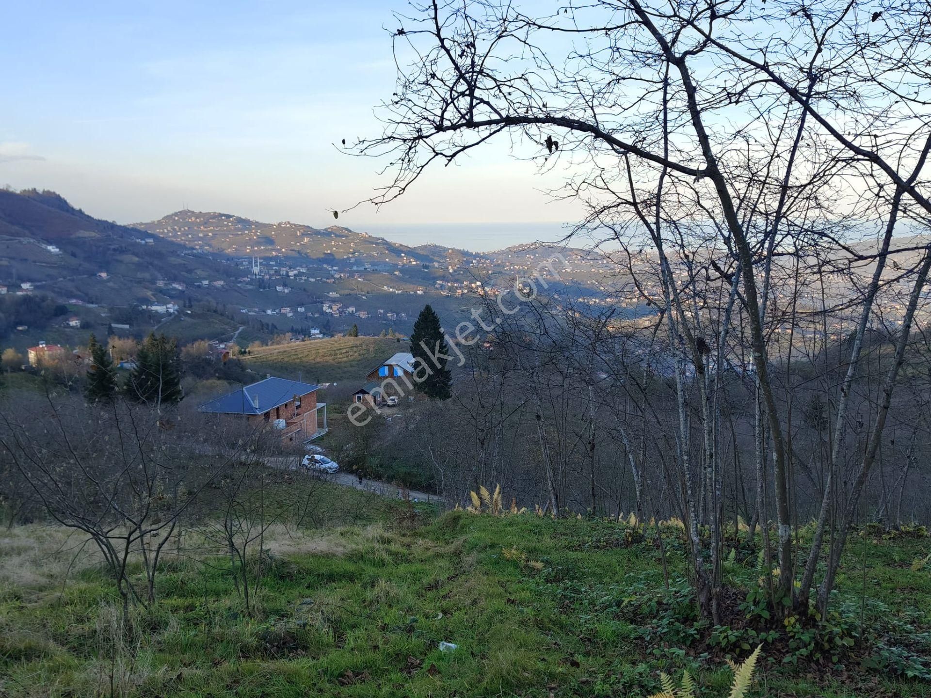 Trabzon Mağmat Kamışlı Satılık 9365 M2 Arsa - Görsel 21